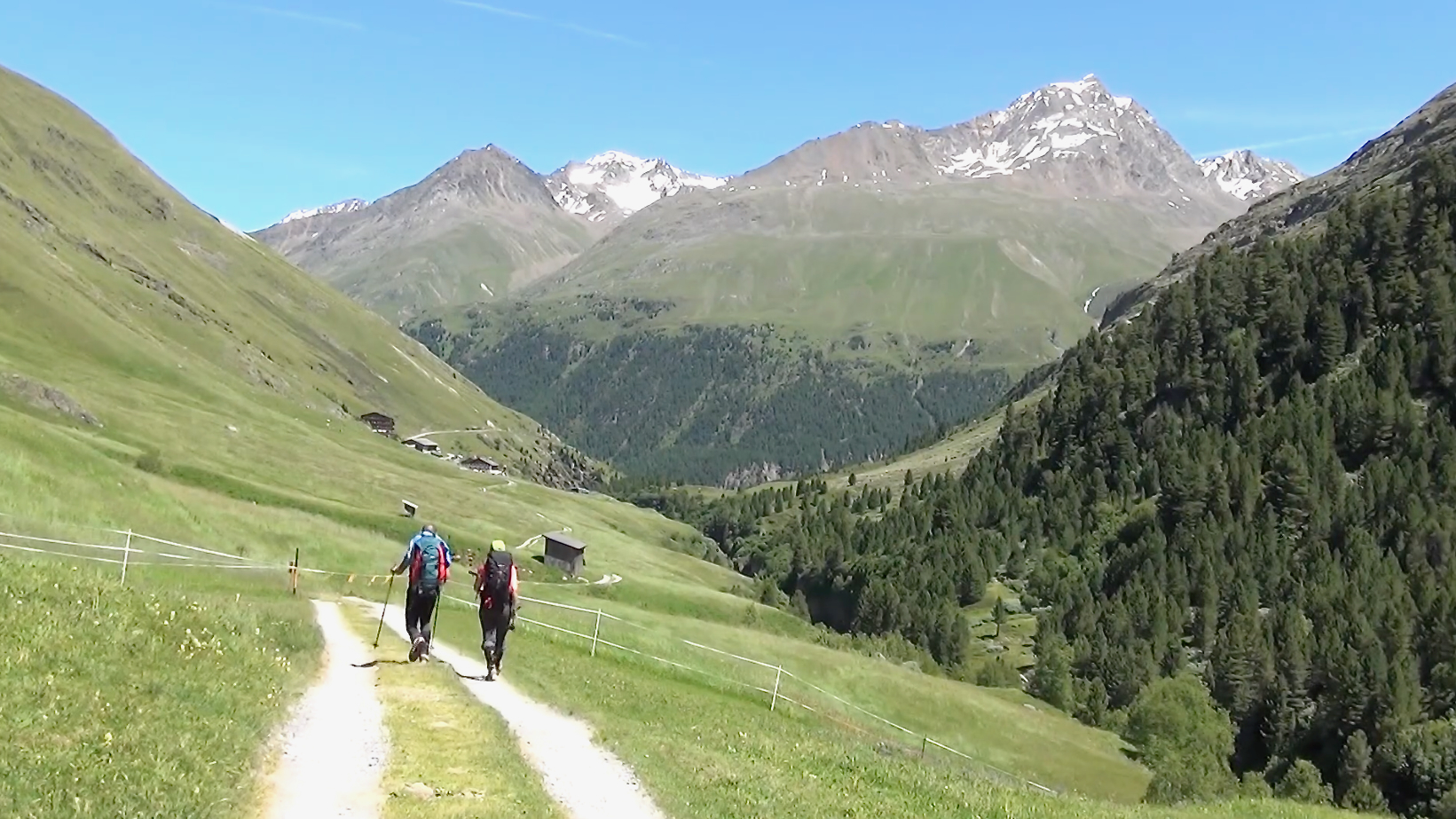 overdracht-ccds-archief-dagbesteding-dagtv