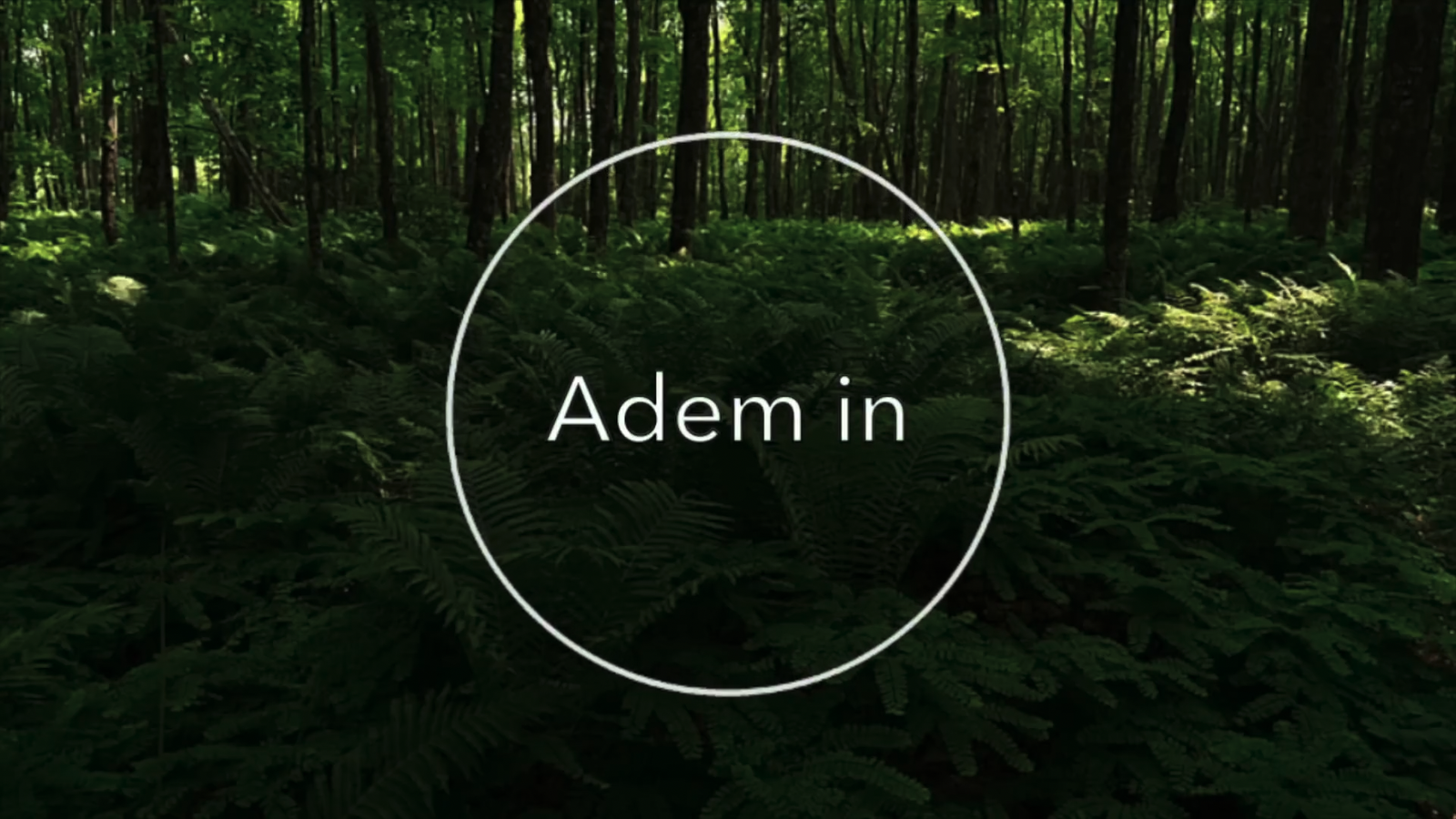 ademhaling-ontspanning_ademin