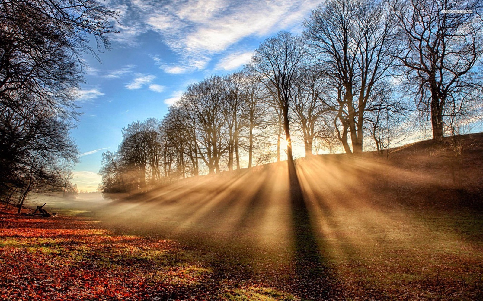 Zonsopgang